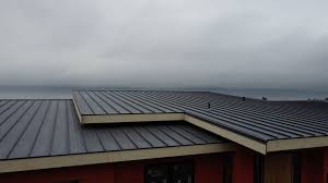 Best Rubber Roofing (EPDM, TPO)  in Graniteville, SC